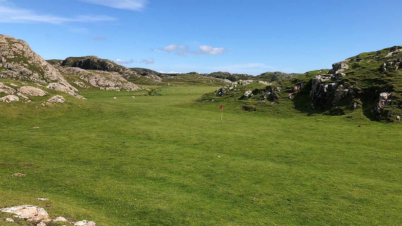 Sân golf đặc biệt ở Scotland được bảo dưỡng bởi những chú cừu